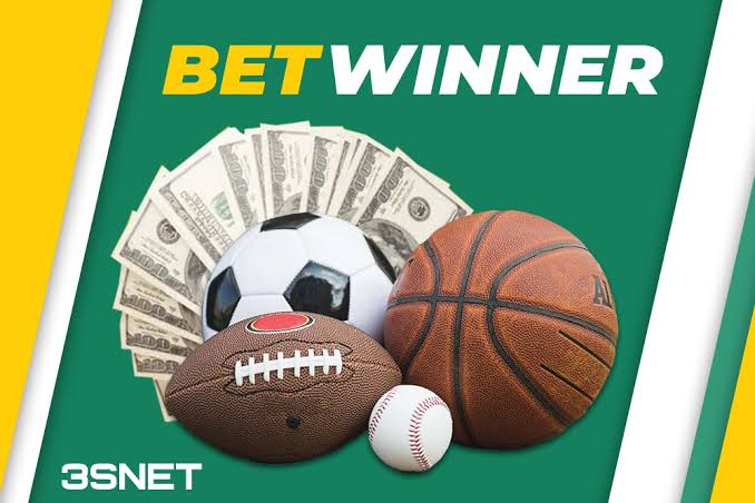 BetWinner Login Your Guide to Accessing the Platform