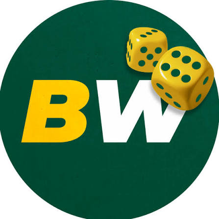A Comprehensive Guide to the BetWinner Platform