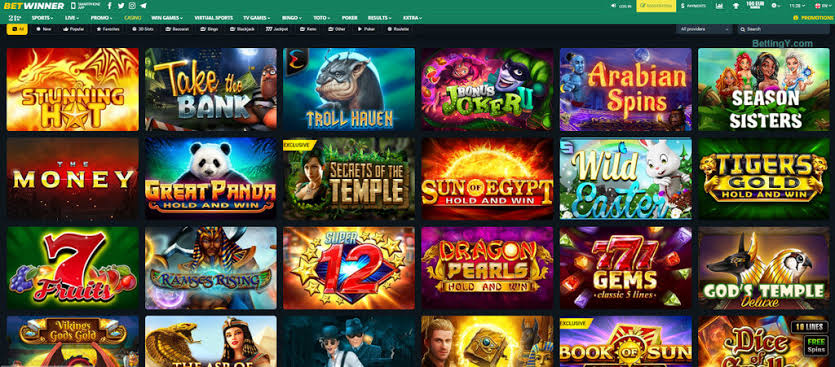 A Comprehensive Guide to the BetWinner Platform